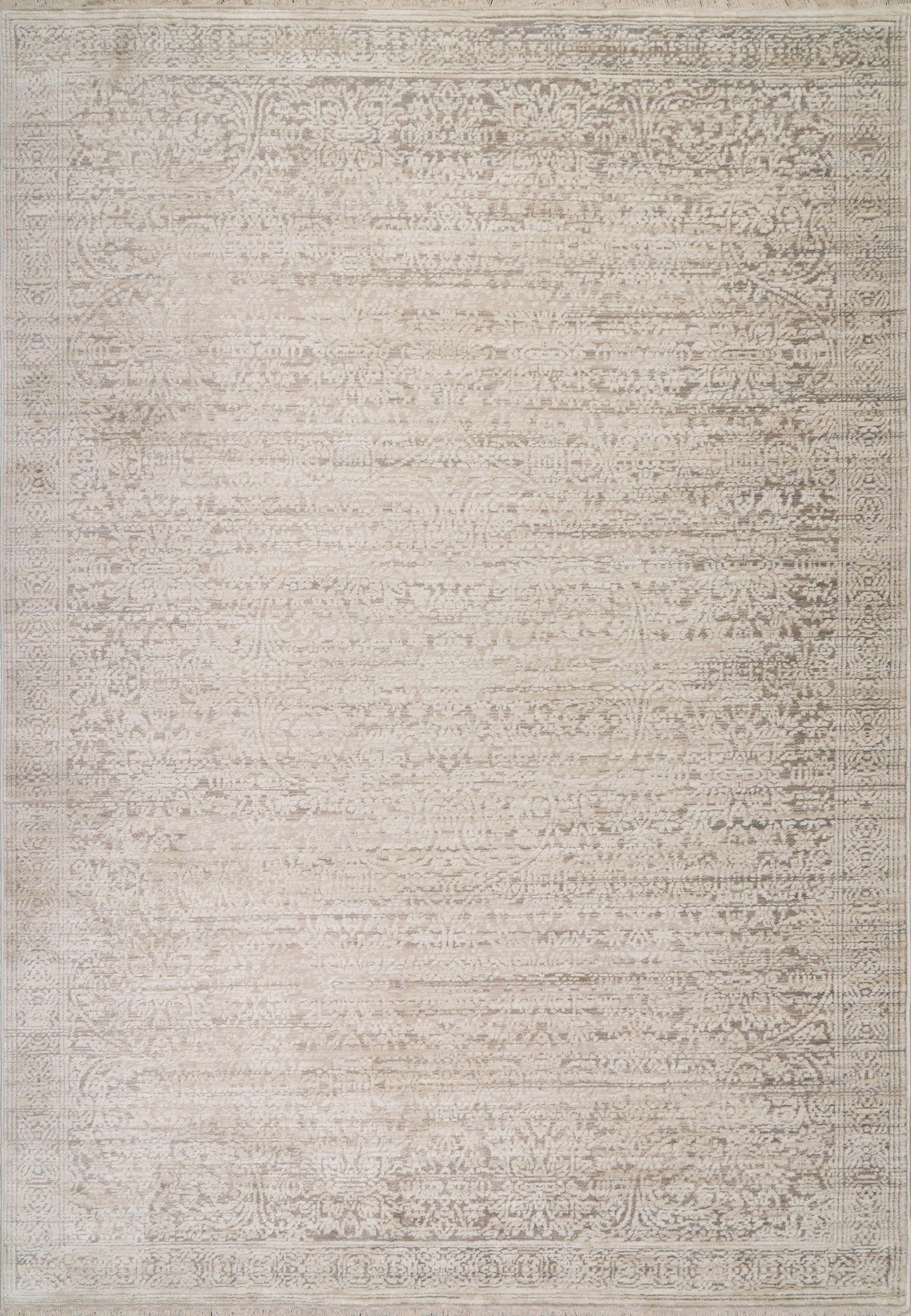 Aimon 16656-919 Light Grey/Grey Area Rug