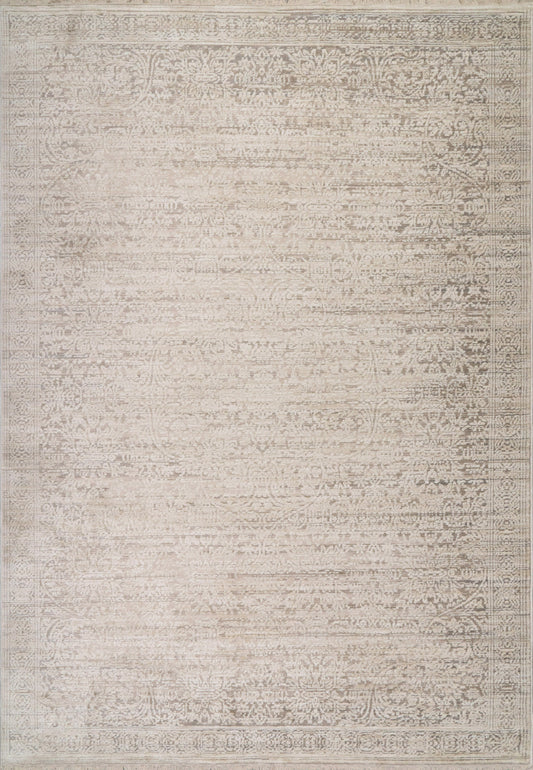 Aimon 16656-919 Light Grey/Grey Area Rug