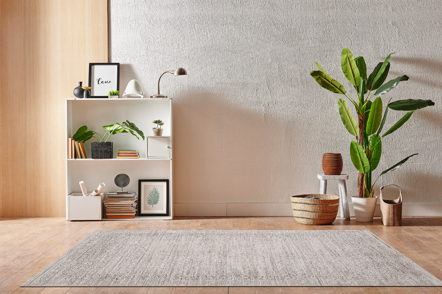 Aimon 16656-980 Light Grey/Beige Area Rug