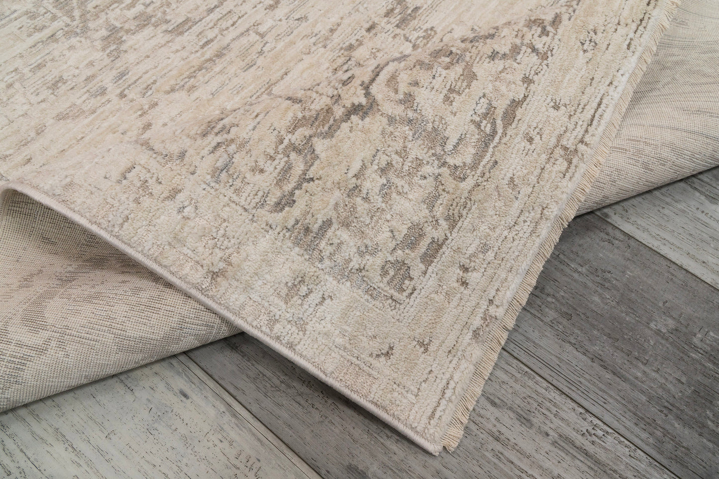 Aimon 16657-919 Light Grey/Grey Area Rug