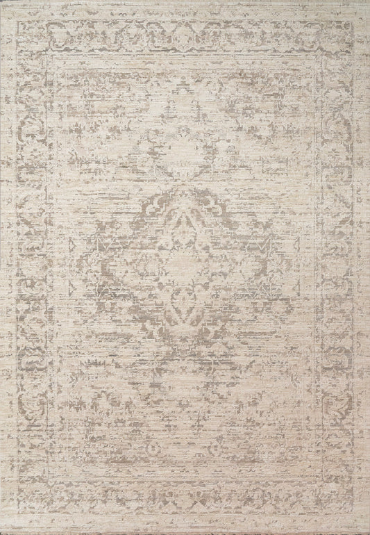 Aimon 16657-919 Light Grey/Grey Area Rug