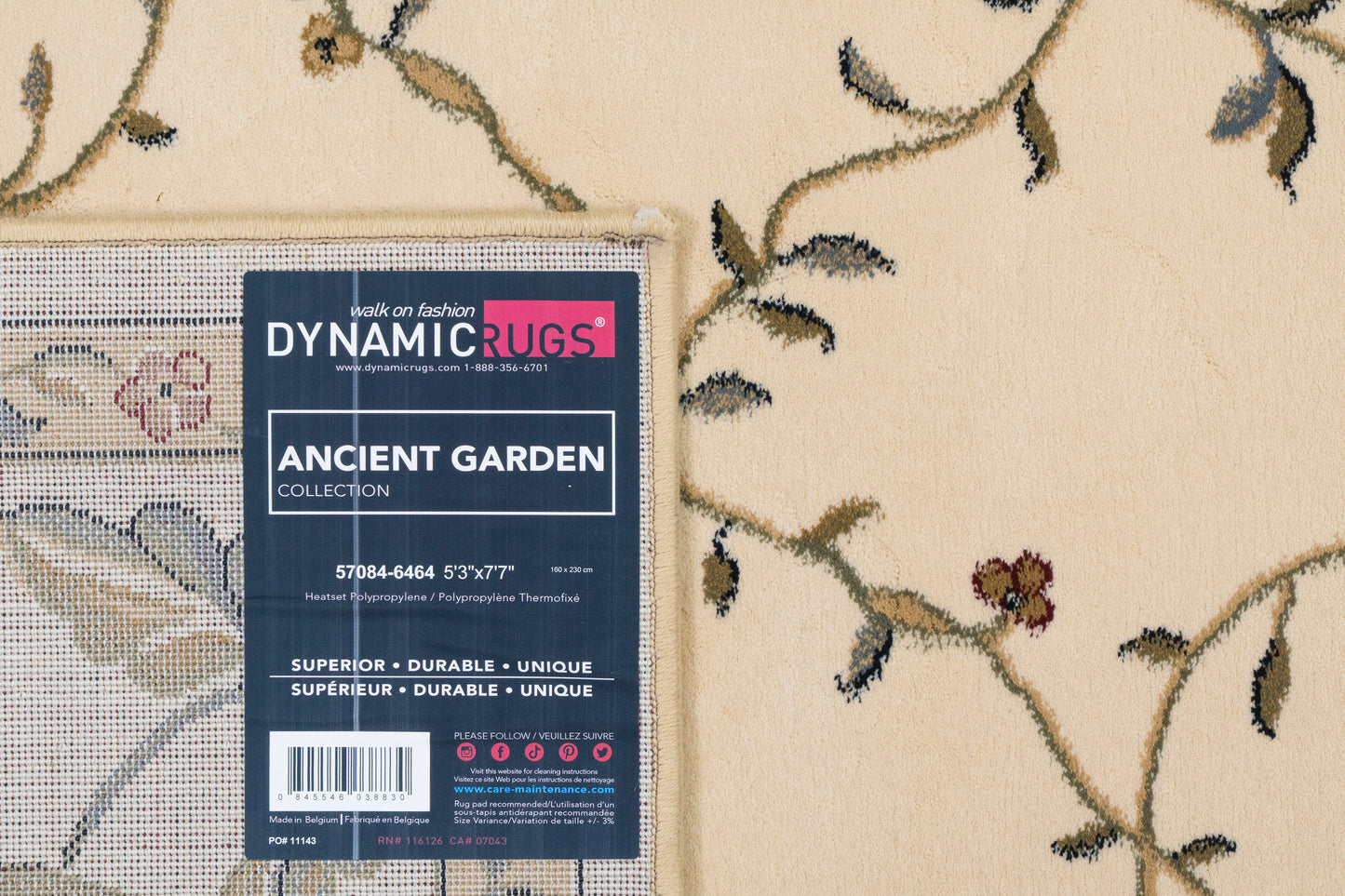 Ancient Garden 57084-6464 Ivory Area Rug