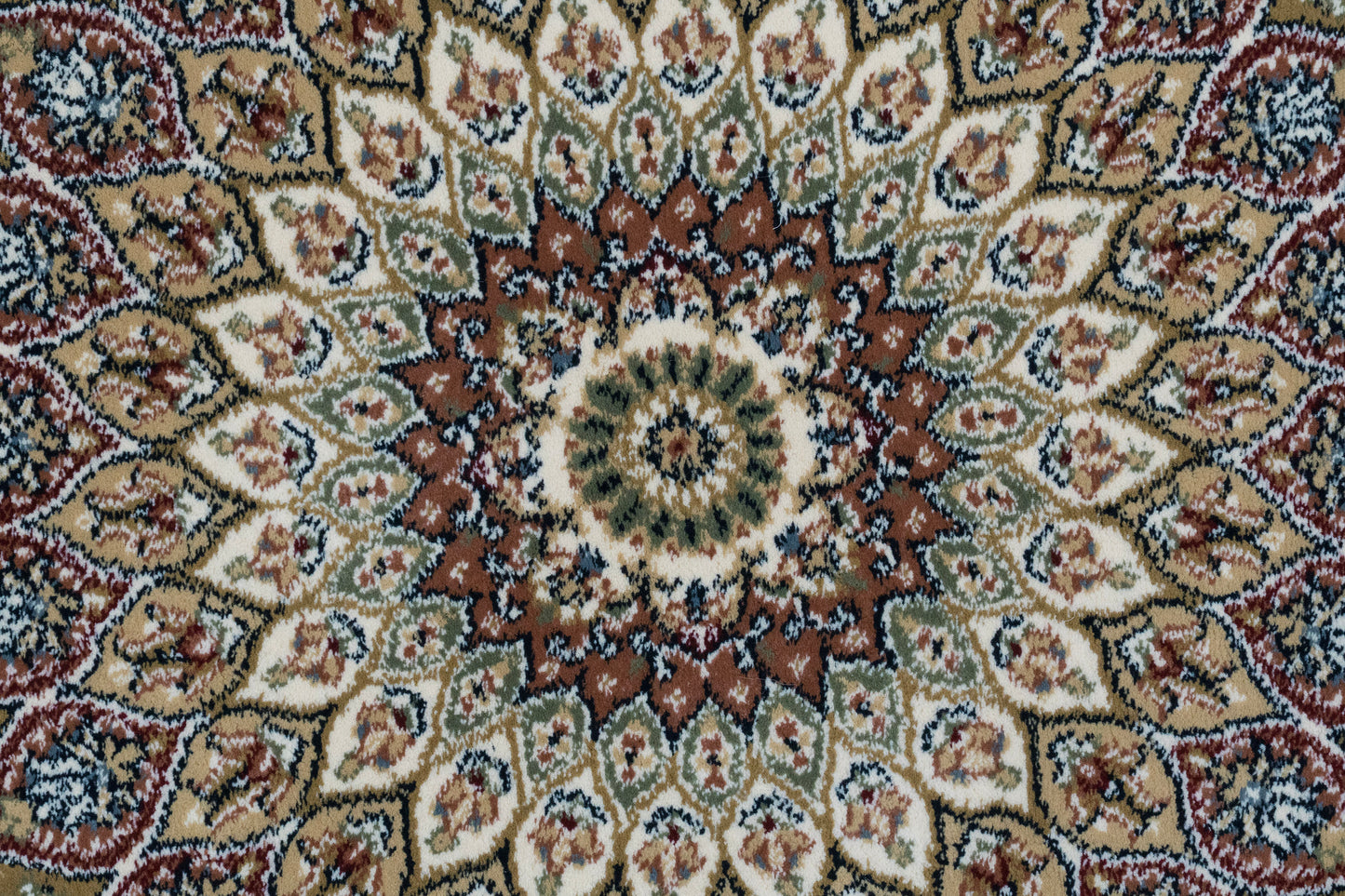 Ancient Garden 57090-6484 Ivory Area Rug