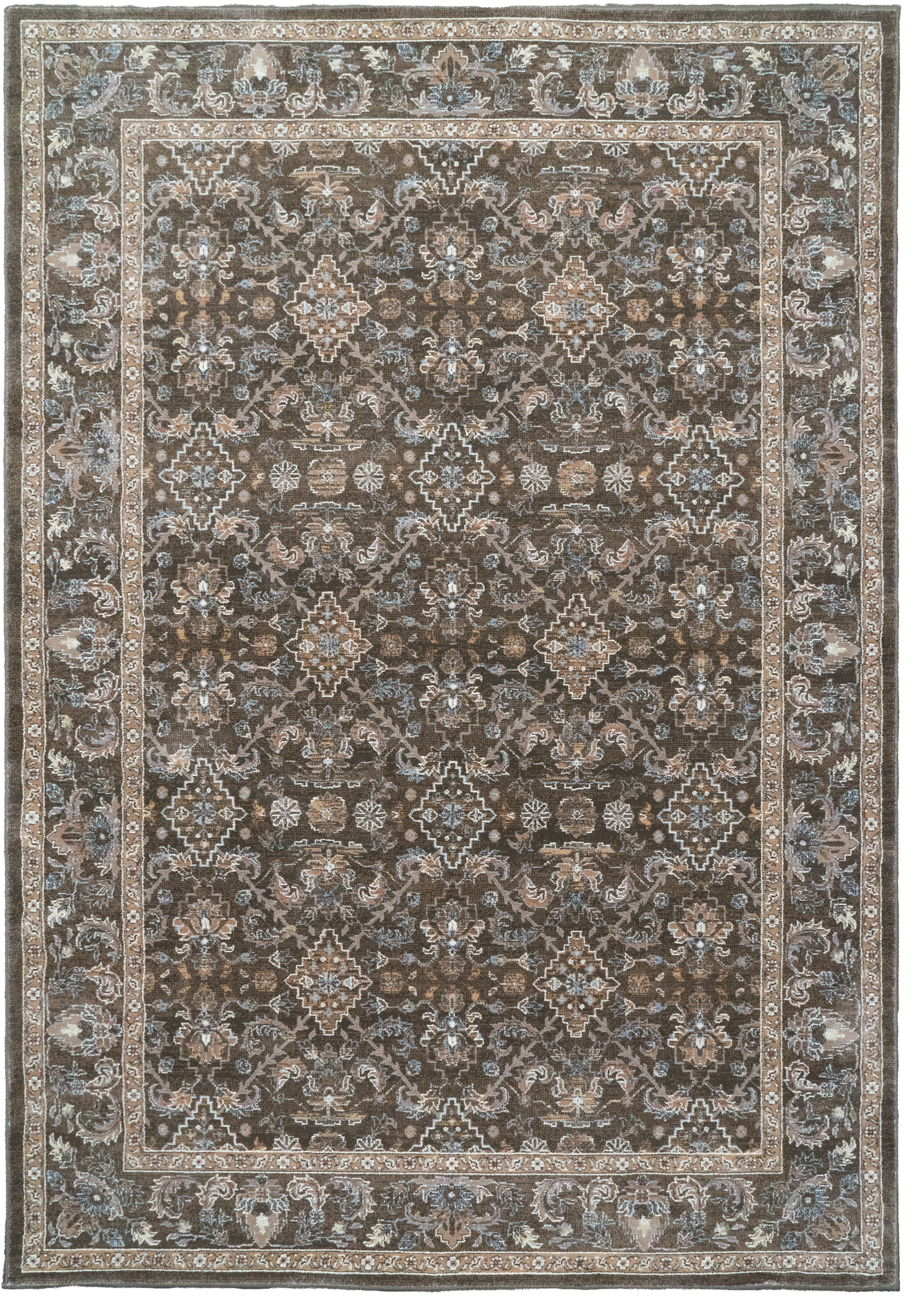 Ancient Garden 57276-3235 Dark Brown/Beige/Blue Area Rug