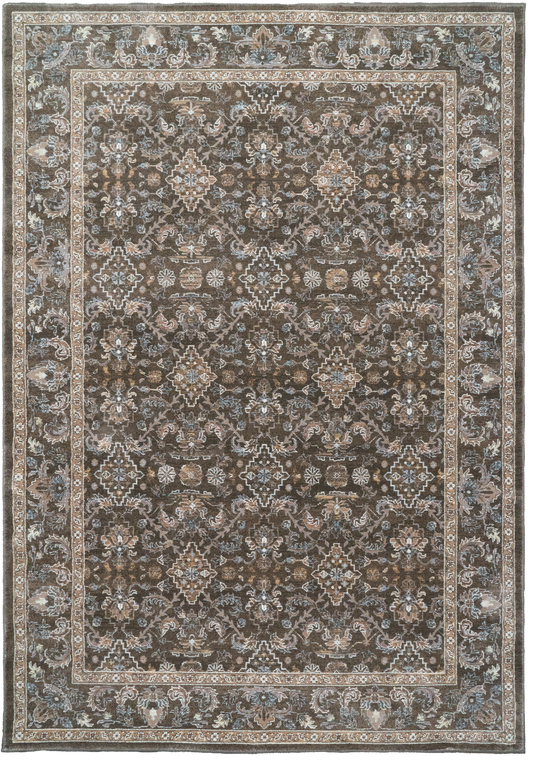 Ancient Garden 57276-3235 Dark Brown/Beige/Blue Area Rug