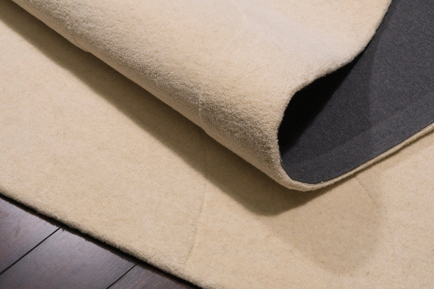 Liora 100-8550 Ivory Area Rug