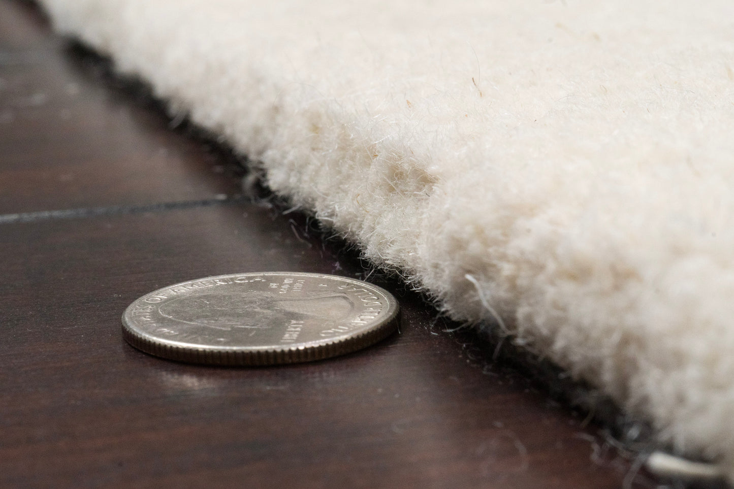 Liora 100-8550 Ivory Area Rug