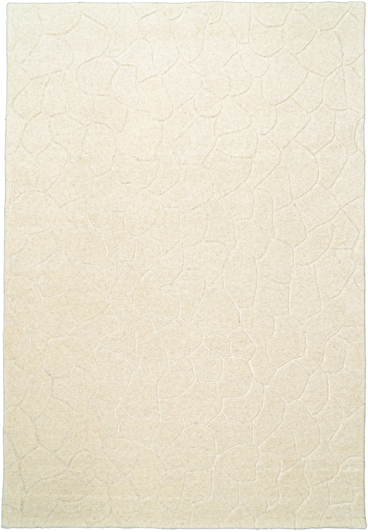 Liora 100-8551 Ivory Area Rug