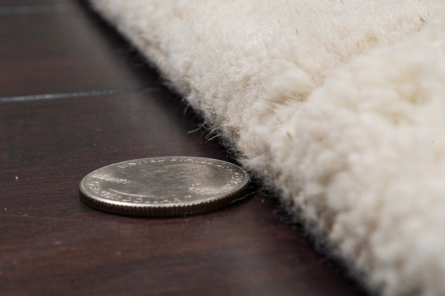 Liora 100-8552 Ivory Area Rug