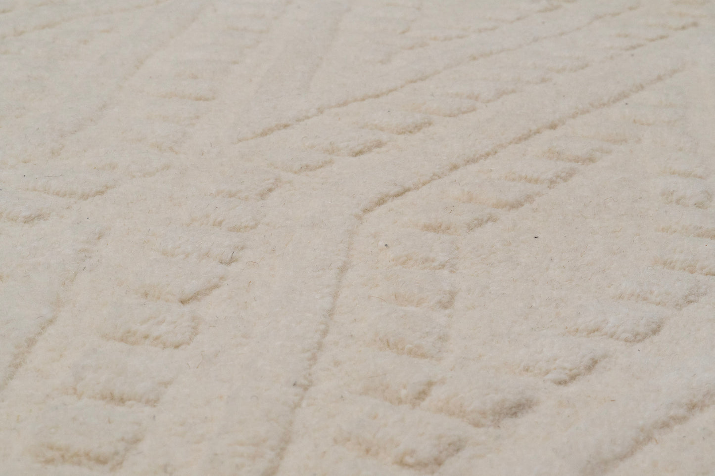 Liora 100-8554 Ivory Area Rug
