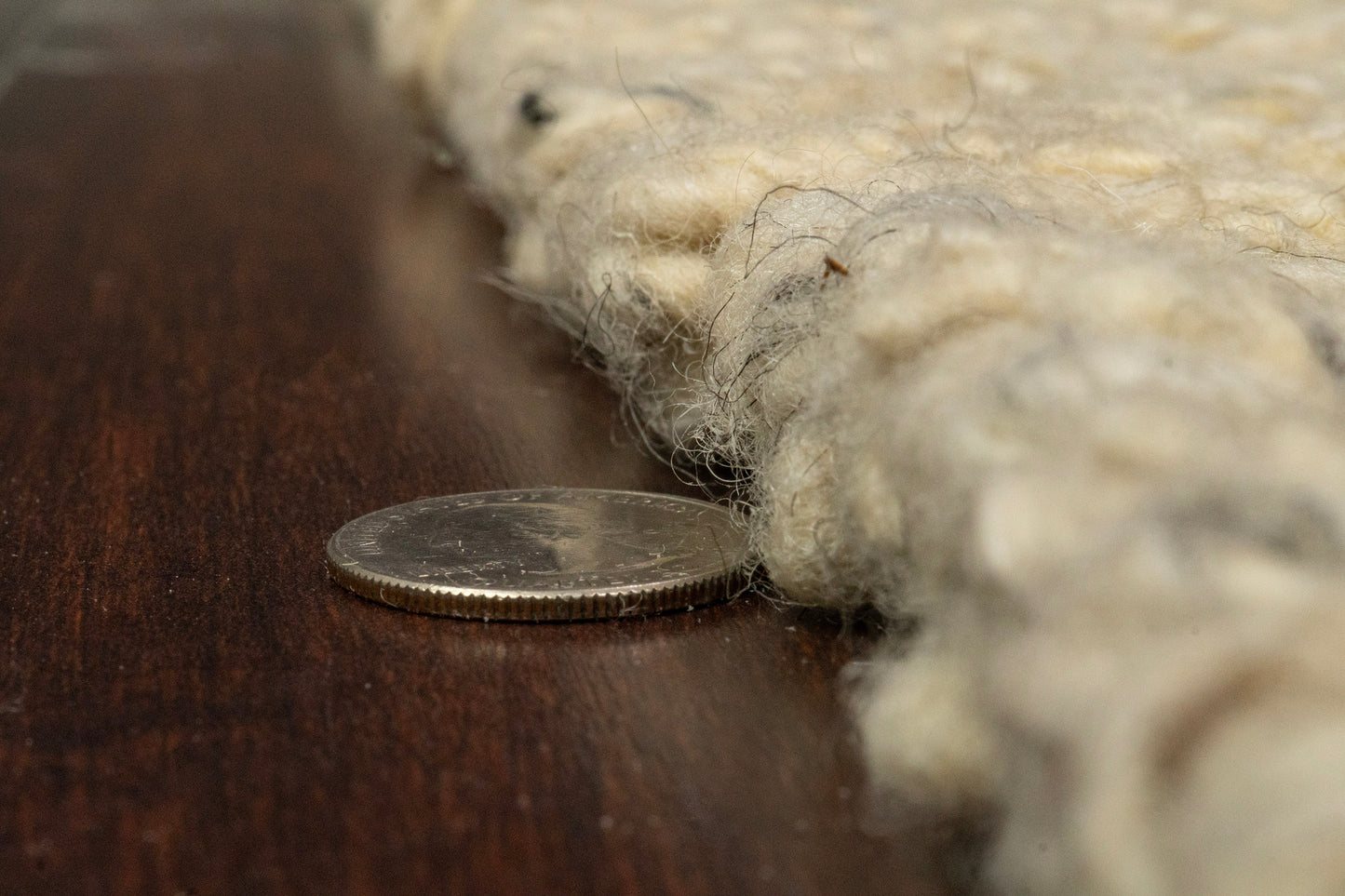 Bombay 9584-100 Cream Area Rug