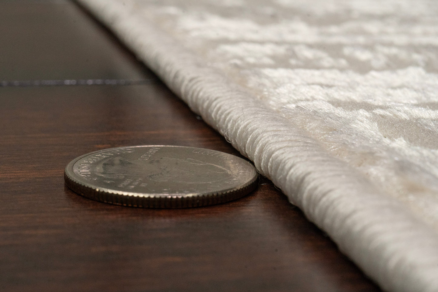Castor 19502-900 Ivory Area Rug