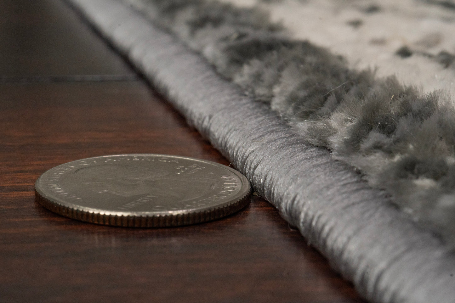 Charlotte 19900-190 Ivory/Grey Area Rug
