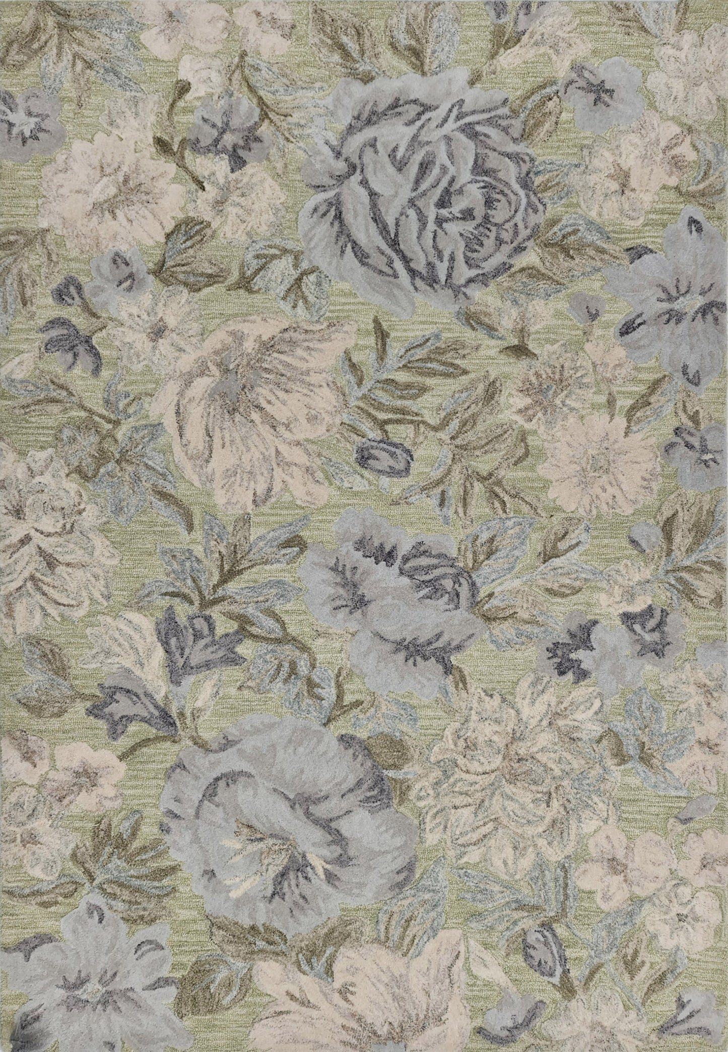 Daisy 9091-499 Light Green/Multi Area Rug