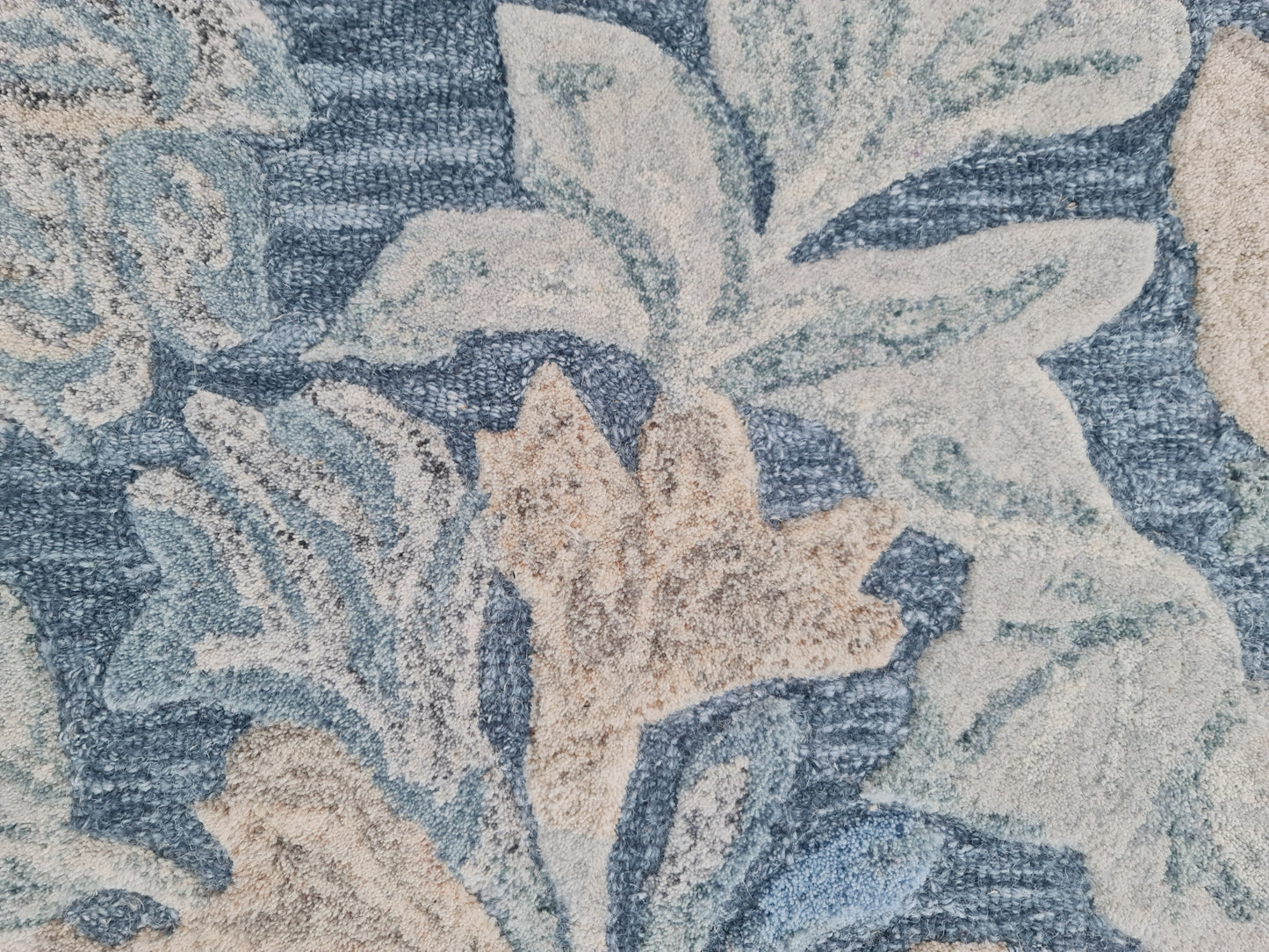Daisy 9091-599 Navy/Multi Area Rug