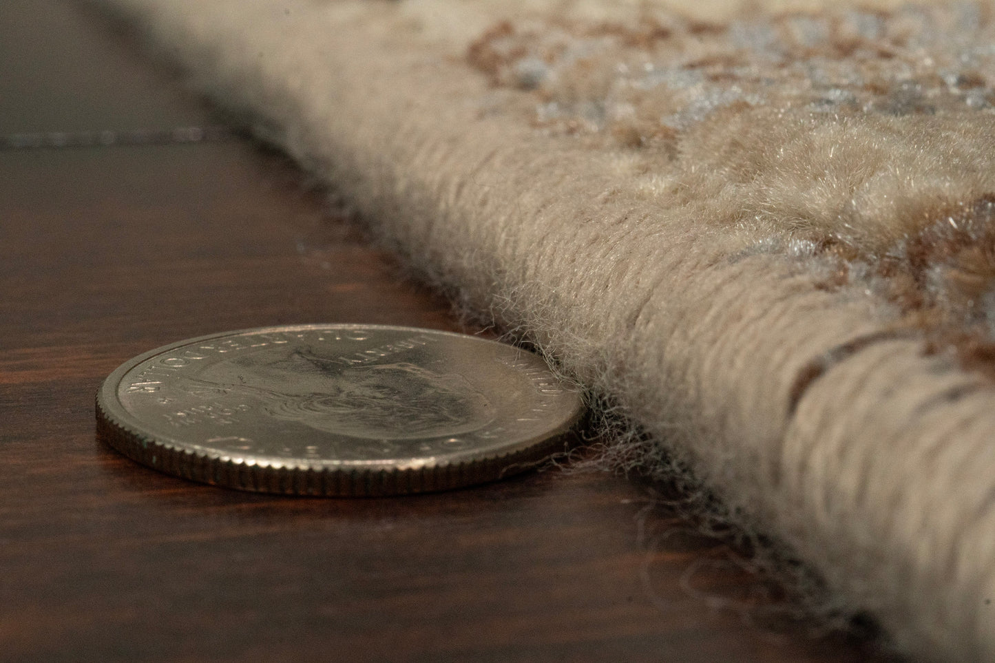 Eclipse 68081-4343 Multi/Silver Area Rug
