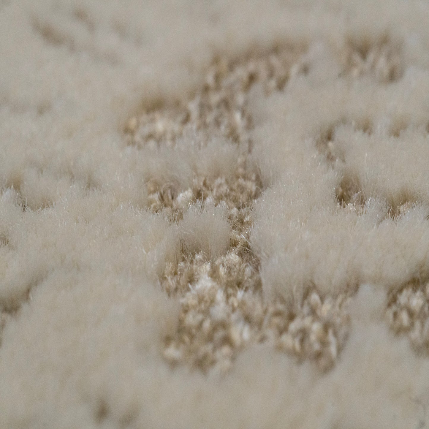 Harmony 59002-9595 Beige/Ivory Area Rug