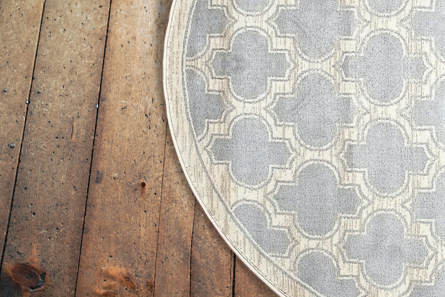 Yazd 2816-910 Grey/Ivory Area Rug