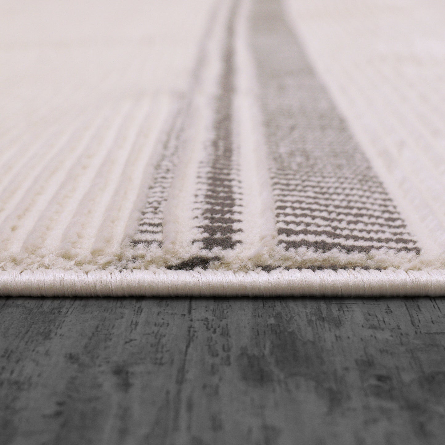 Rori 9352-109 Ivory/Charcoal Area Rug