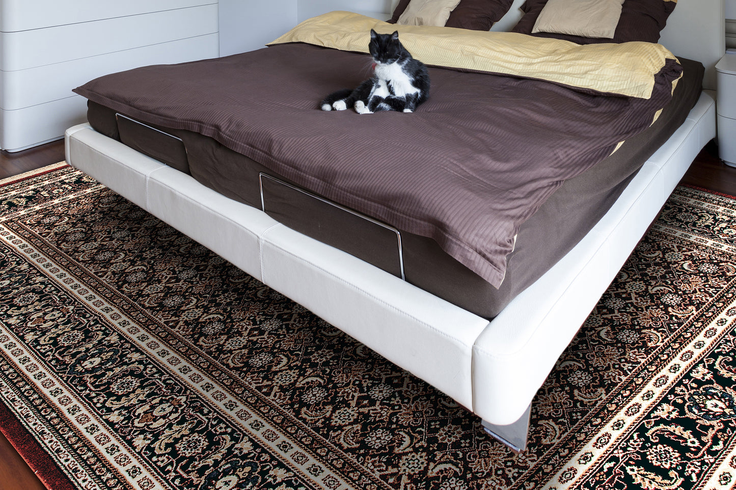 Brilliant 72240-330 Red Area Rug