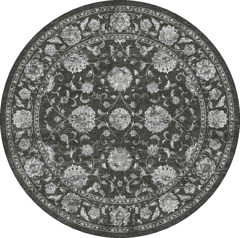 Ancient Garden 57126-3636 Charcoal/Silver Area Rug