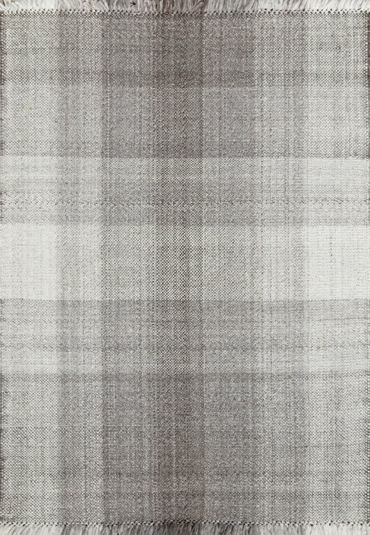 Titus 5916-990 Grey/Dark Grey Area Rug