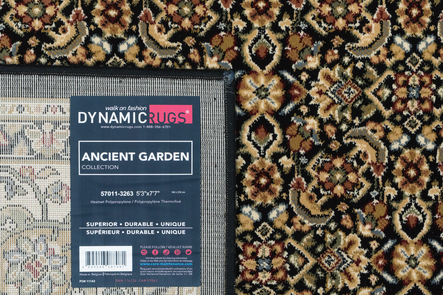 Ancient Garden 57011-3263 Black/Ivory Area Rug