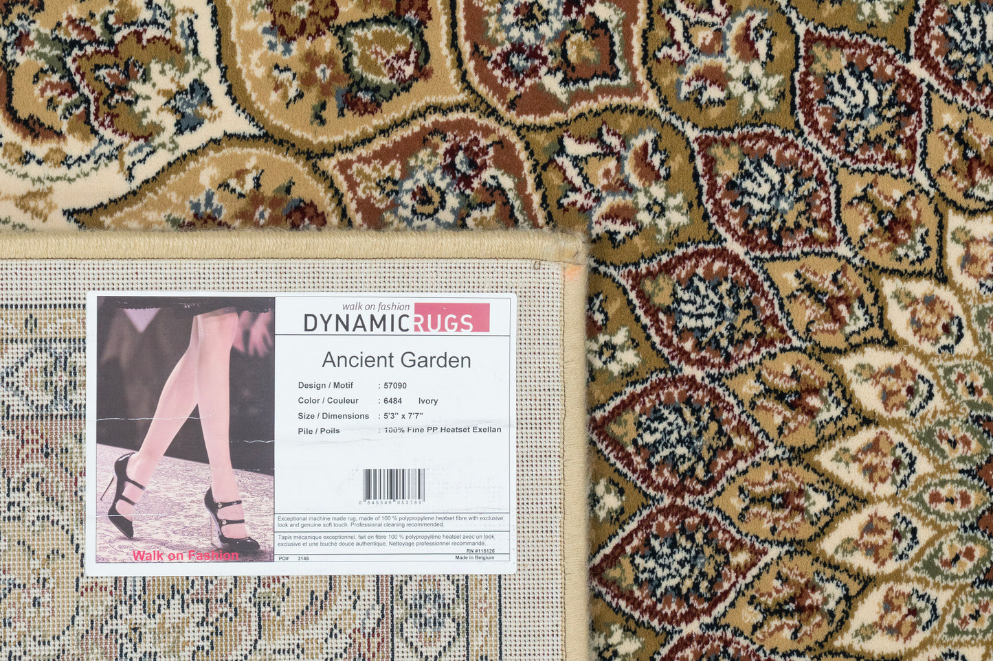 Ancient Garden 57090-6484 Ivory Area Rug