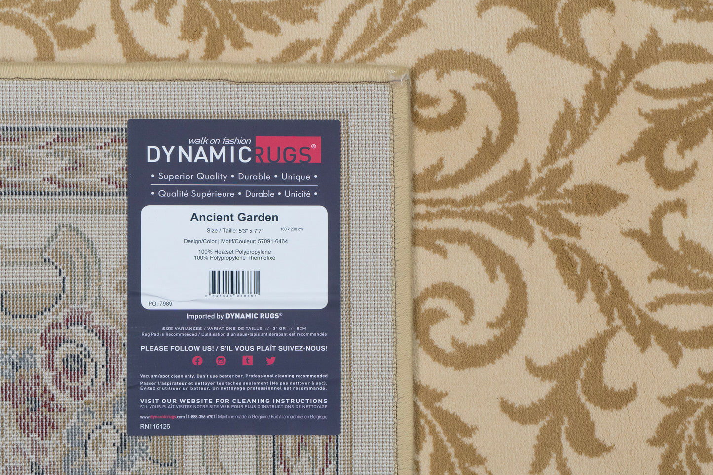 Ancient Garden 57091-6464 Ivory Area Rug