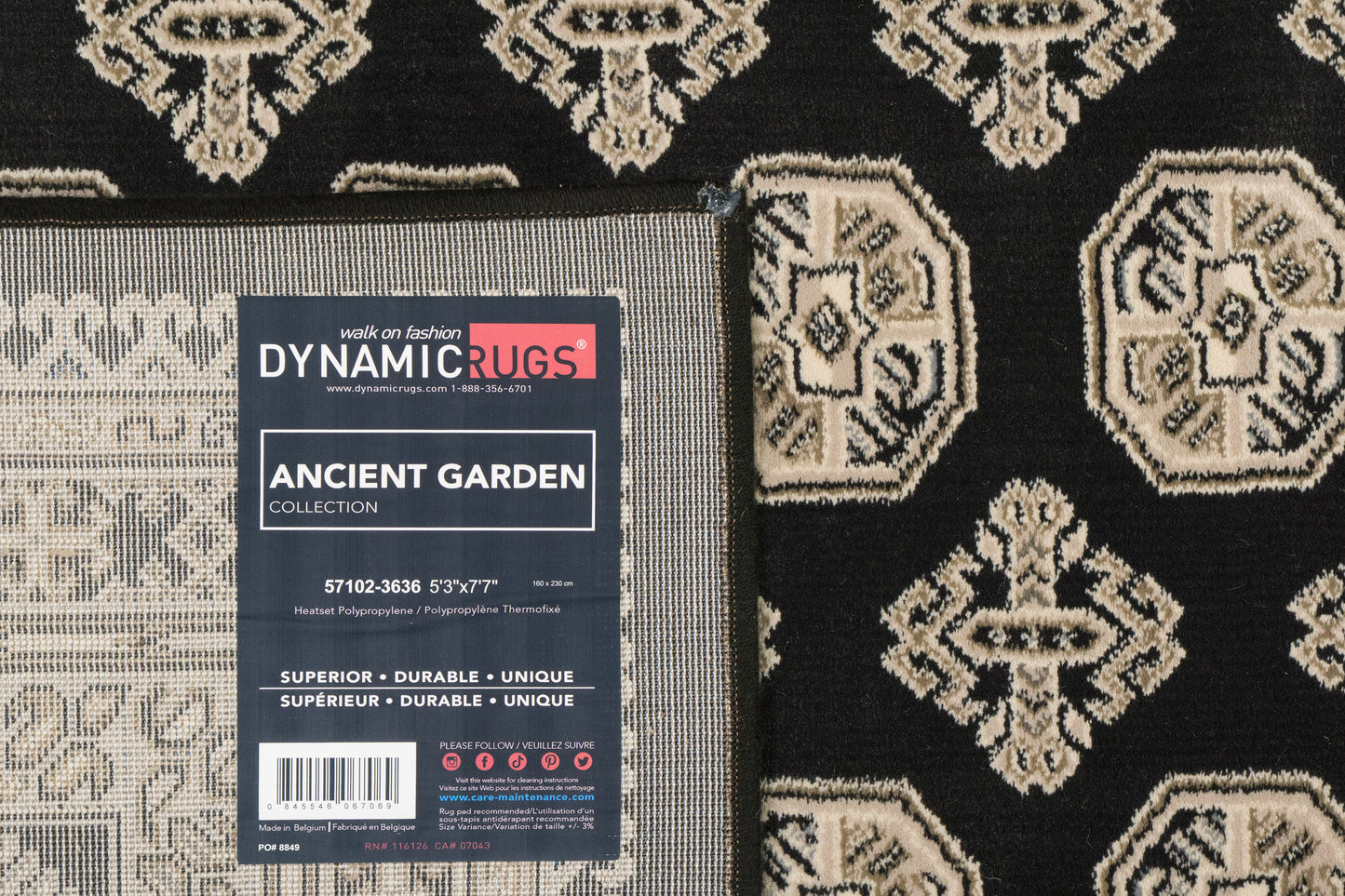 Ancient Garden 57102-3636 Charcoal/Silver Area Rug