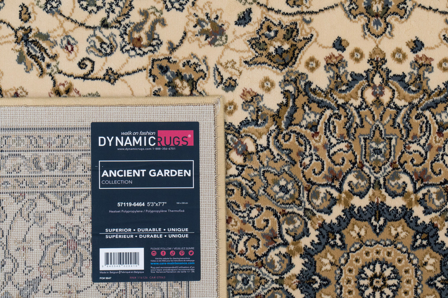 Ancient Garden 57119-6464 Ivory Area Rug
