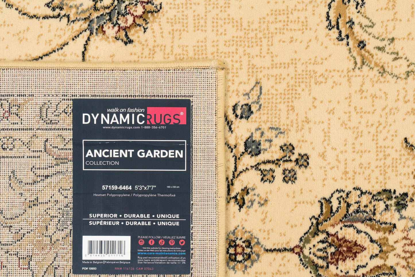 Ancient Garden 57159-6464 Ivory Area Rug