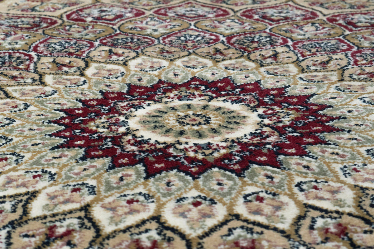 Ancient Garden 57090-1484 Red Area Rug