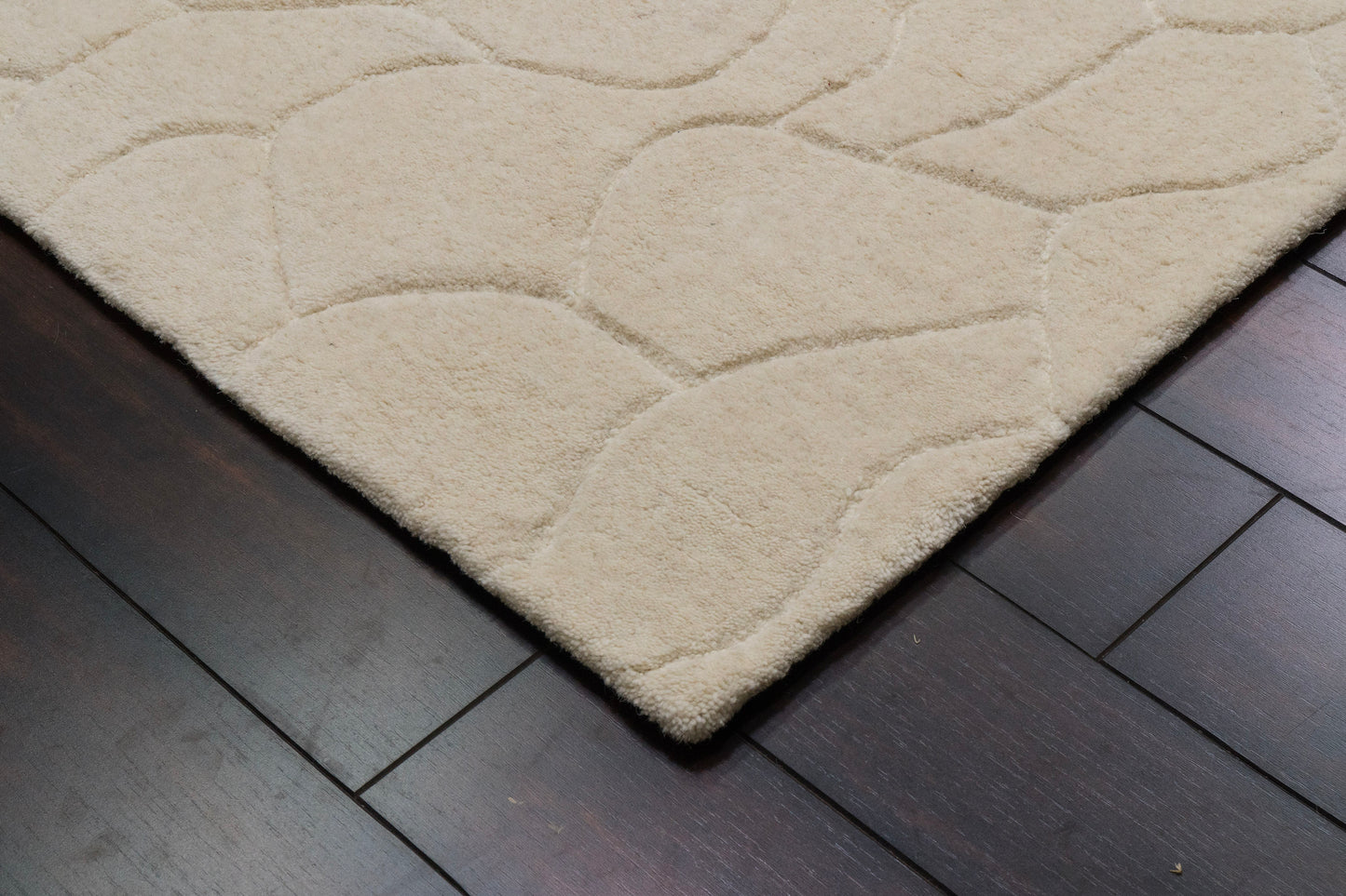 Liora 100-8551 Ivory Area Rug