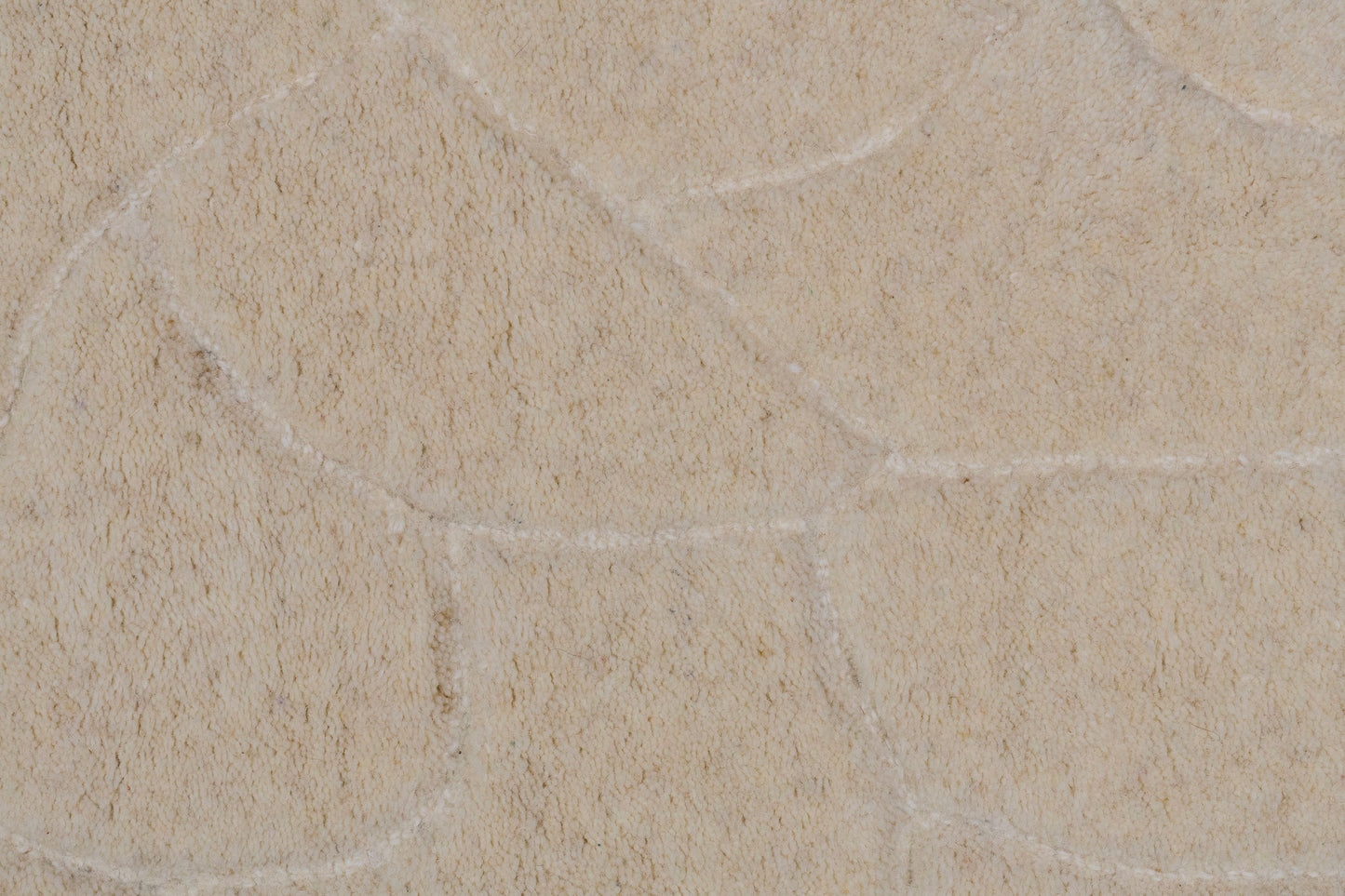 Liora 100-8551 Ivory Area Rug