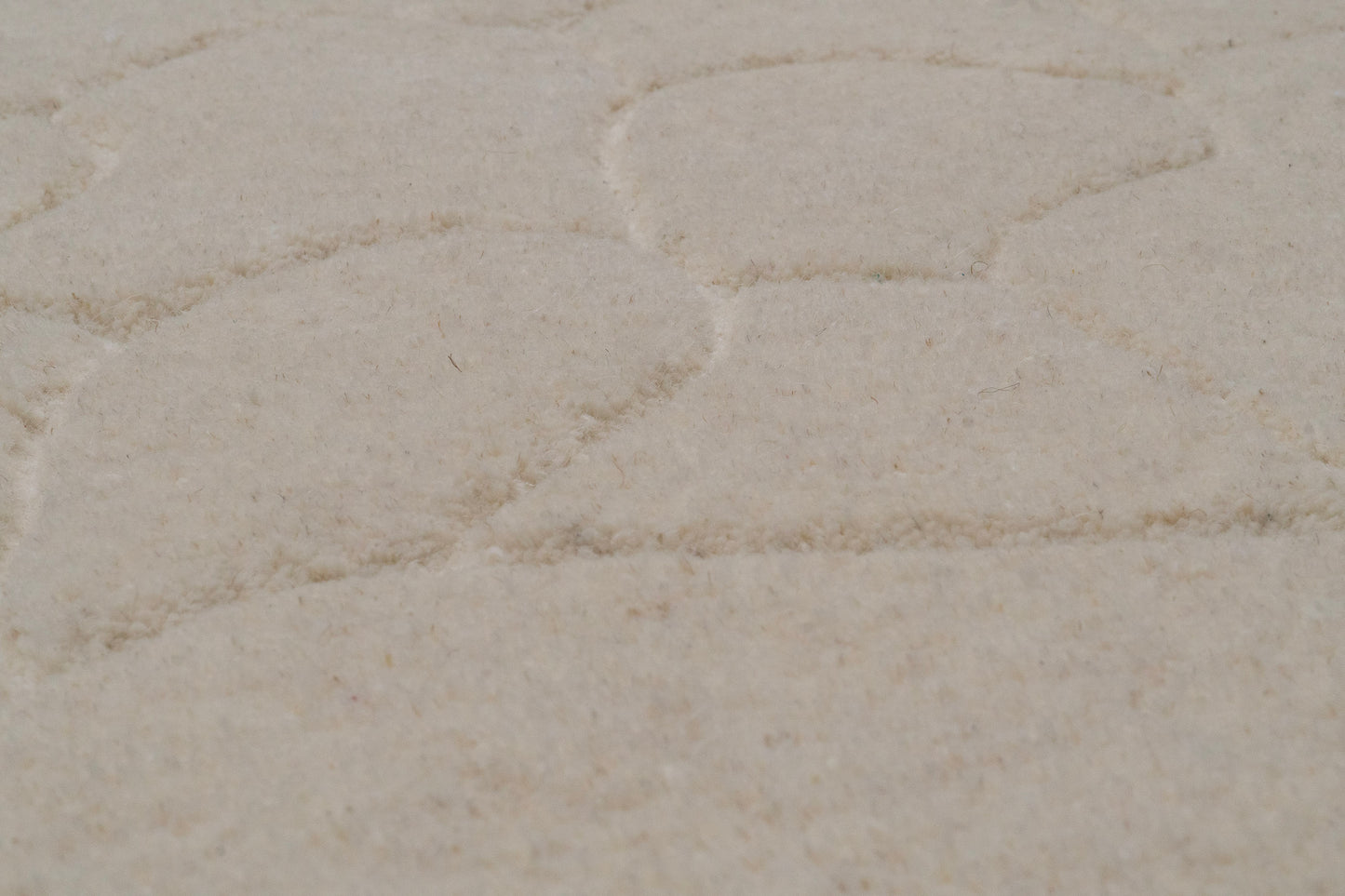 Liora 100-8551 Ivory Area Rug