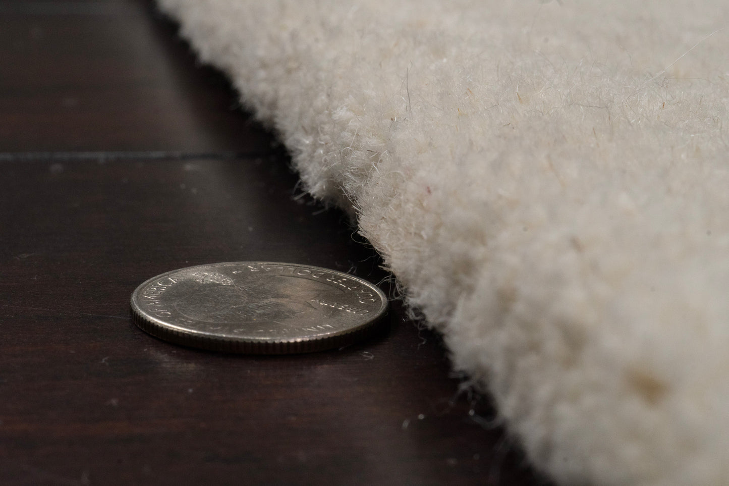 Liora 100-8551 Ivory Area Rug