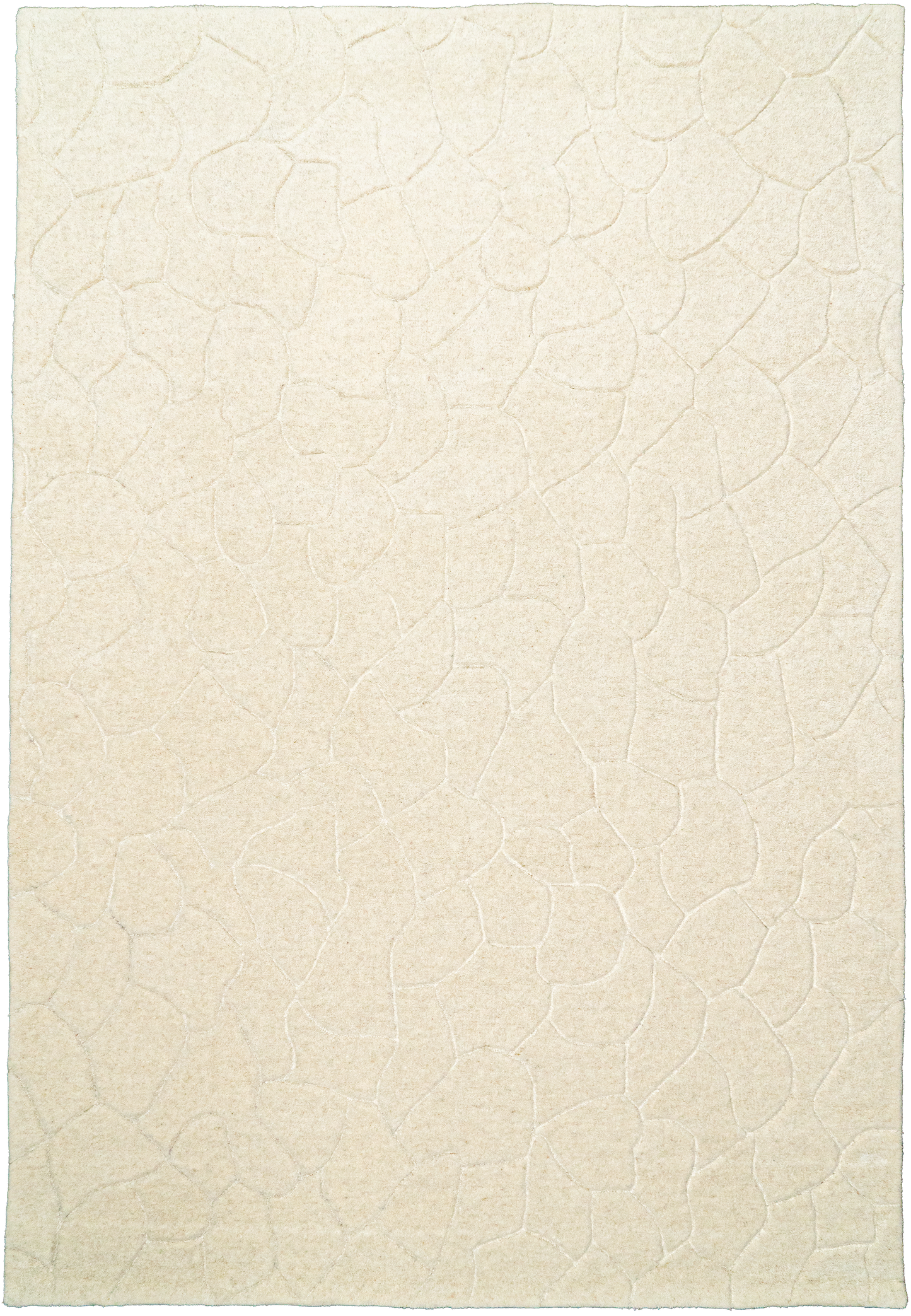 Liora 100-8551 Ivory Area Rug