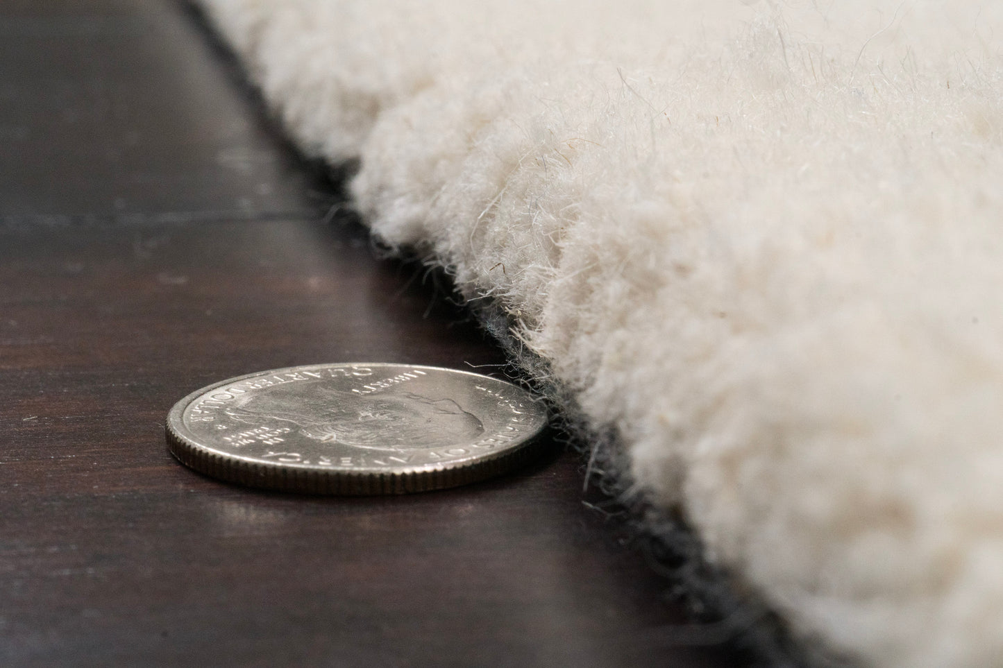Liora 100-8553 Ivory Area Rug