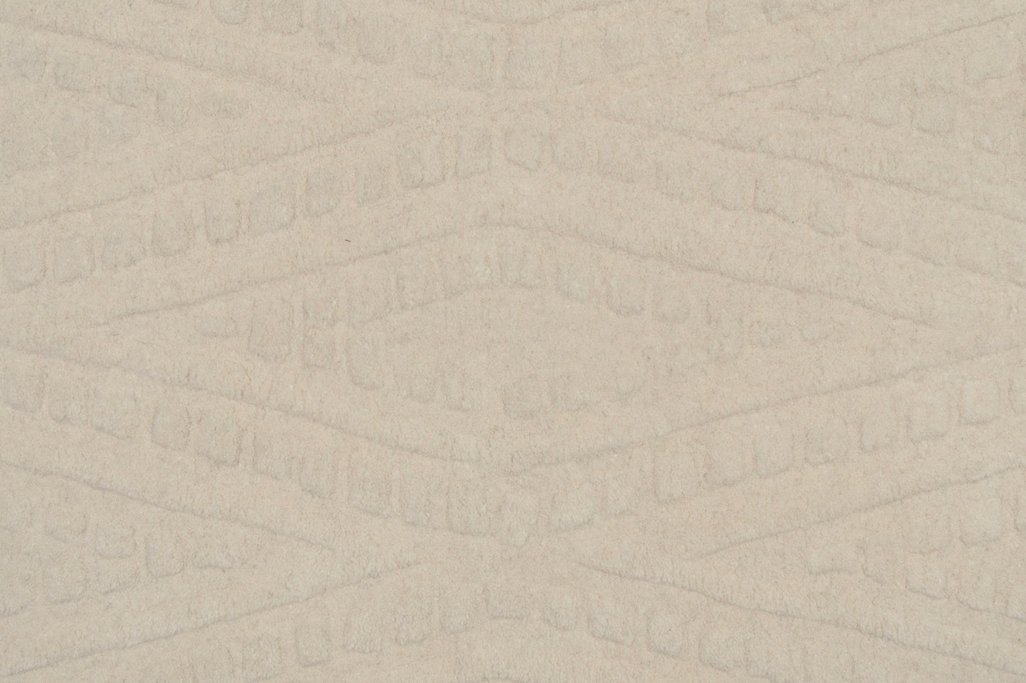Liora 100-8554 Ivory Area Rug