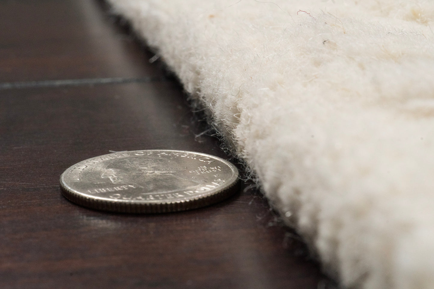 Liora 100-8554 Ivory Area Rug