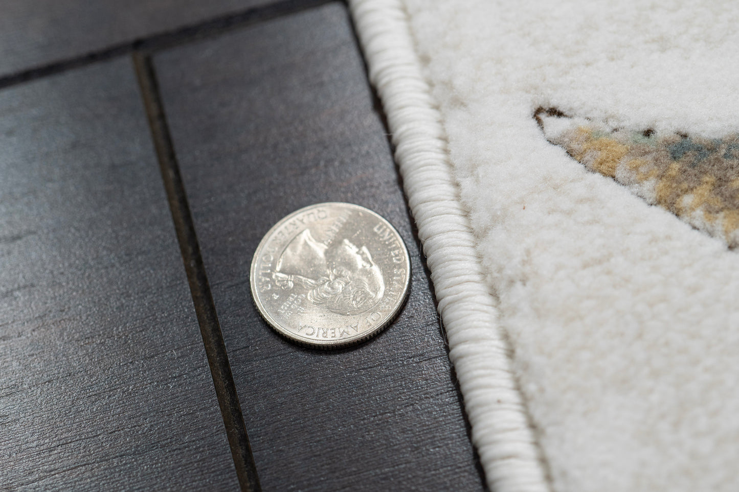 Aspire 11363-199 Cream/Multi Area Rug