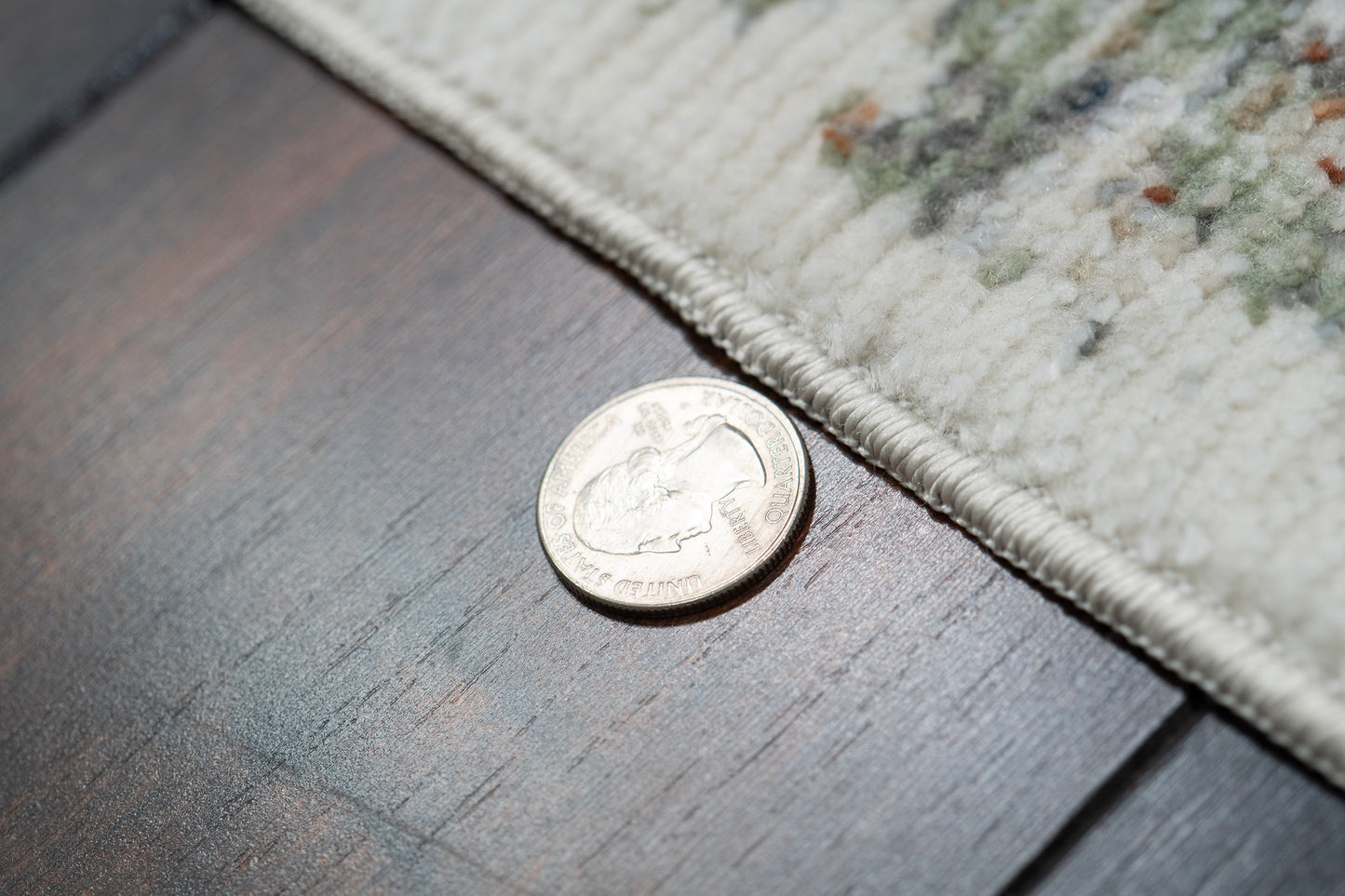 Authentic 18781-199 Ivory/Multi Area Rug