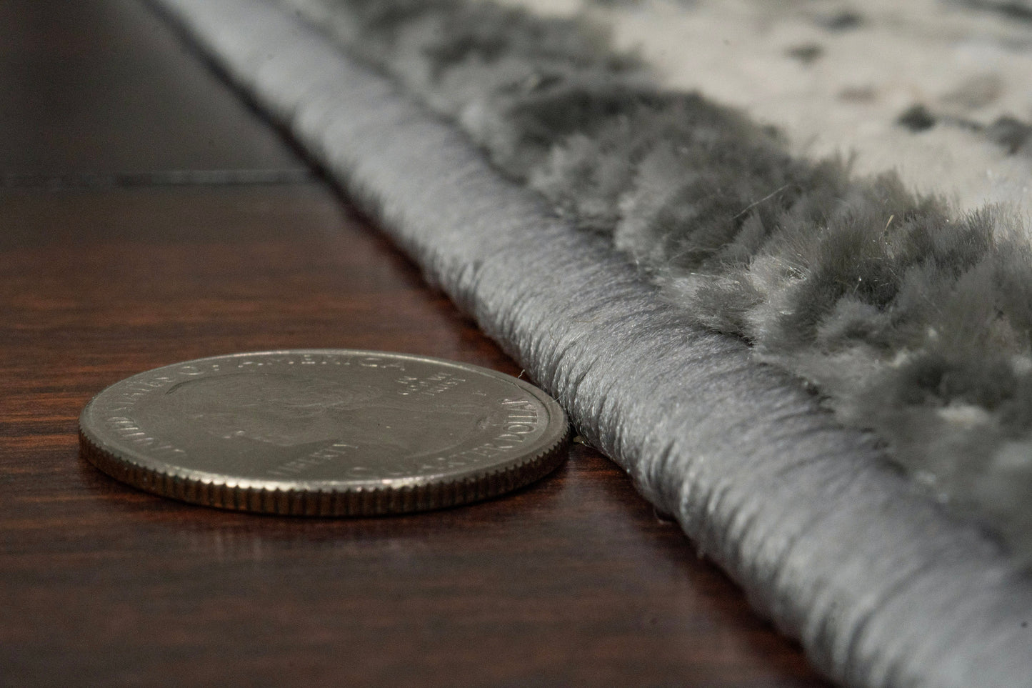 Charlotte 19900-190 Ivory/Grey Area Rug