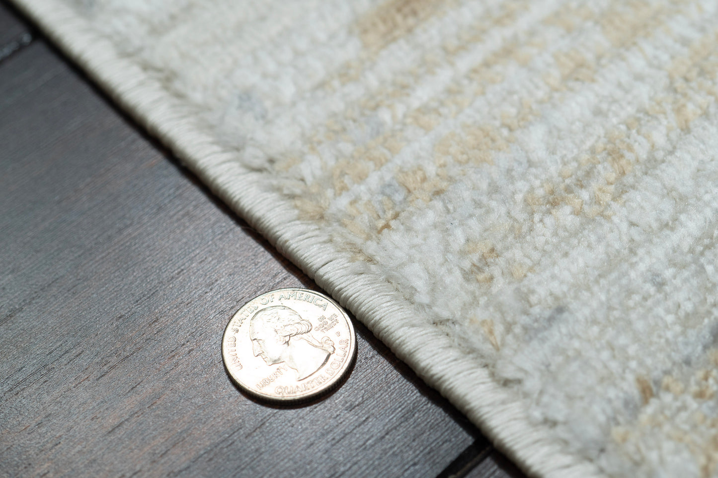 Charlotte 19901-890 Beige/Grey Area Rug