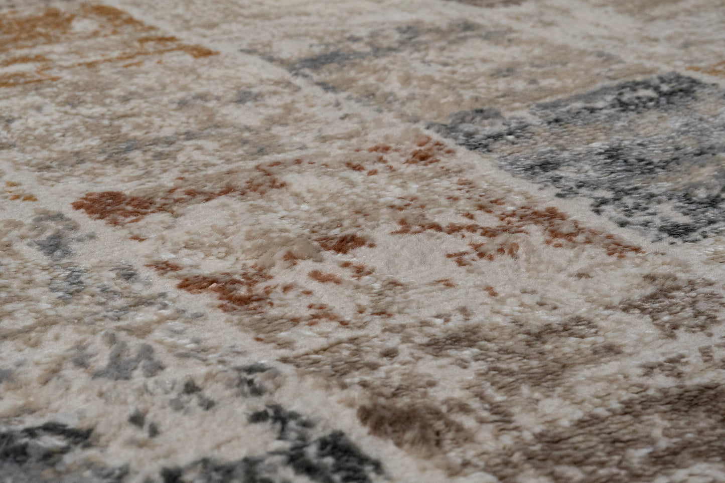 Charlotte 19902-189 Ivory/Beige/Grey Area Rug