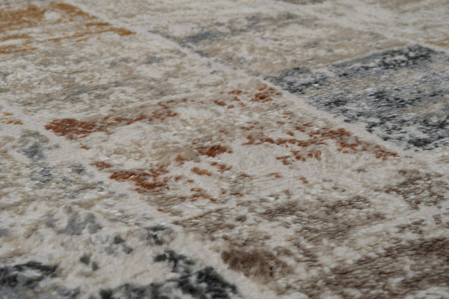 Charlotte 19902-189 Ivory/Beige/Grey Area Rug