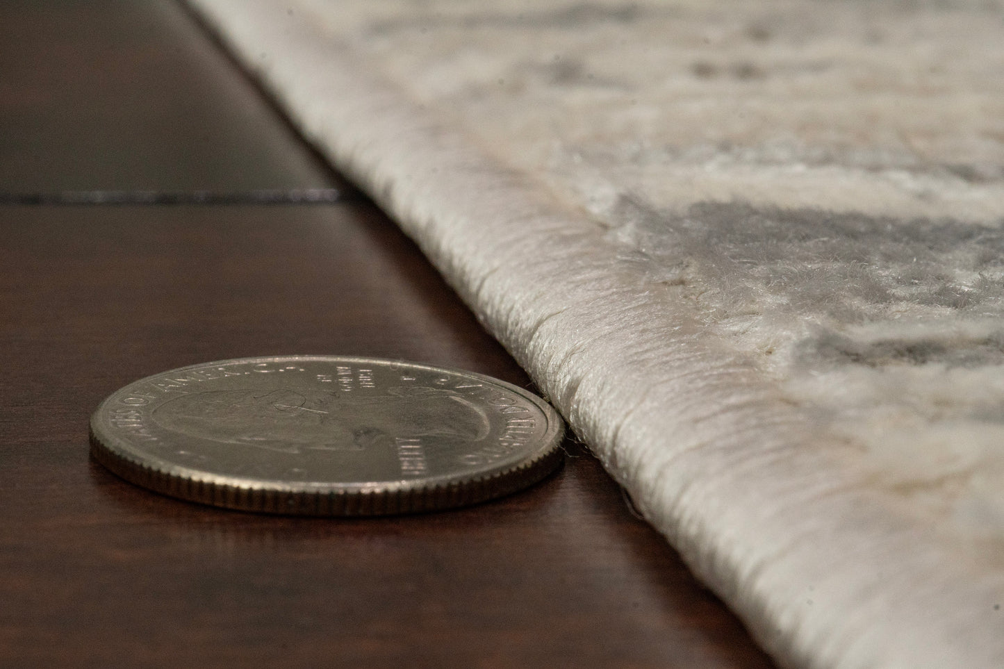 Charlotte 19904-890 Beige/Grey Area Rug