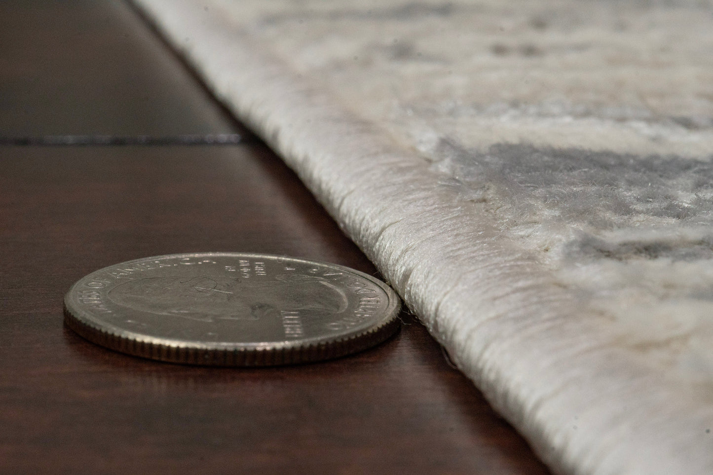 Charlotte 19904-890 Beige/Grey Area Rug