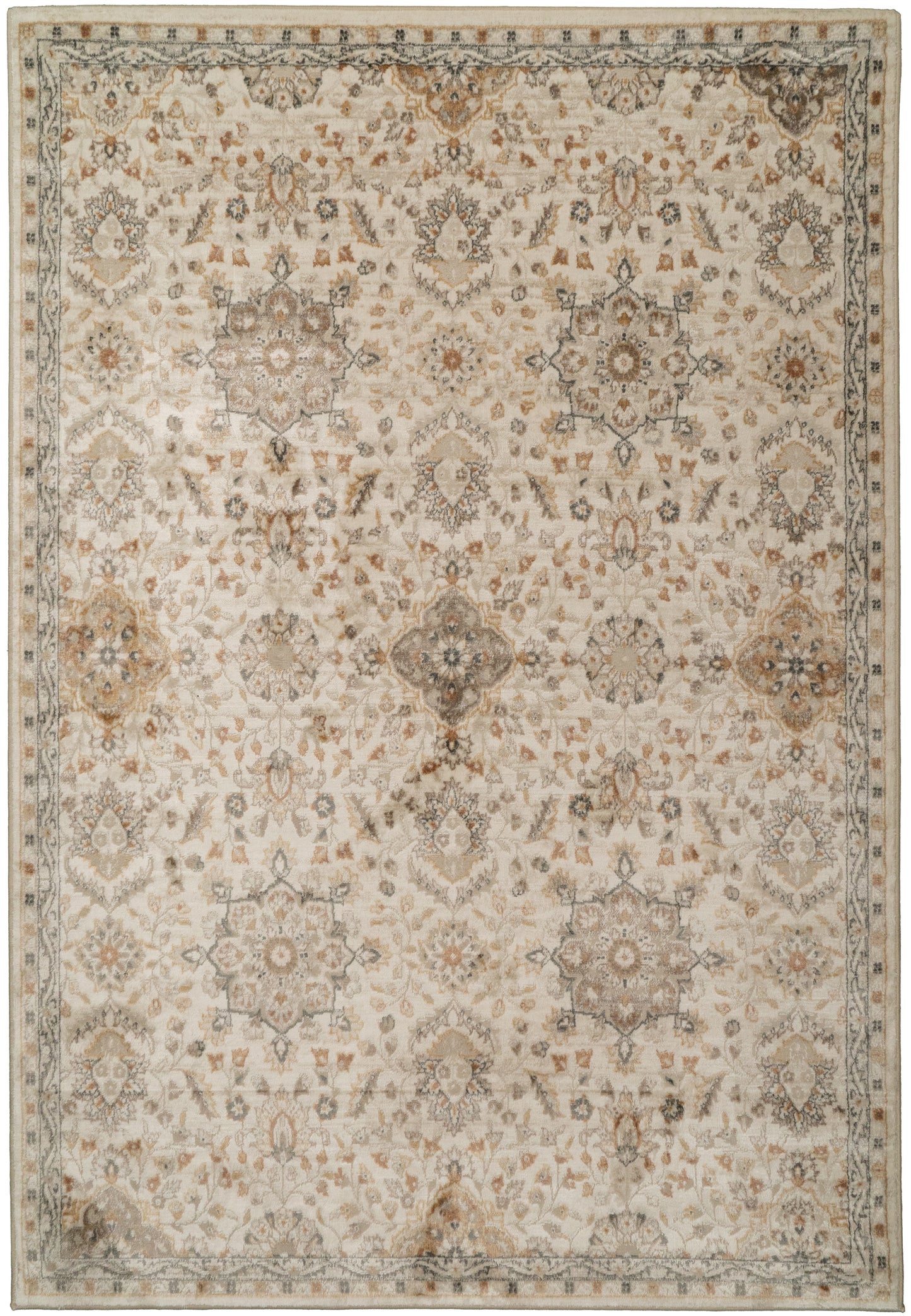 Charlotte 19905-199 Ivory/Multi Area Rug
